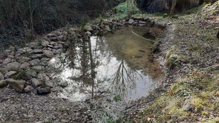 Bassa de la Font dels Bous un cop restaurada. Febrer 2021