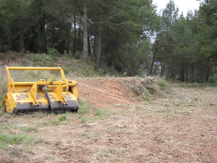 Fase d’eliminació de restes en la creació d’espais adevesats. Març 2008