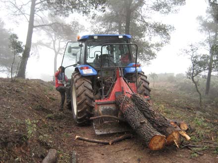 Desembosc de fusta amb tractor i cabrestant. Març 2007