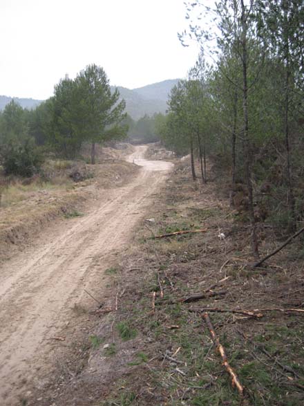 Creació de secció de servei al Parc del Foix. Març 2007