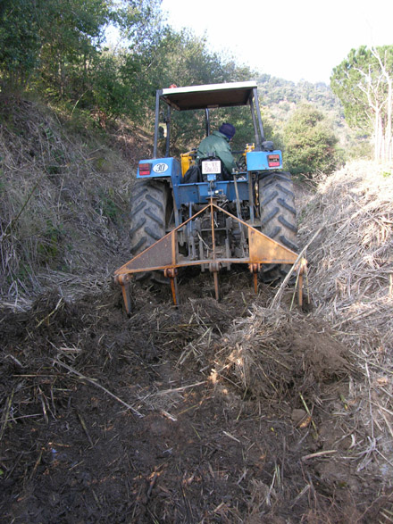 Extracció de rizomes de canya amb tractor a la Riera de la Font de l’Alba (Tiana). Febrer 2009