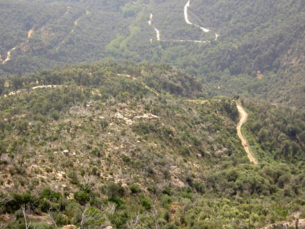 Visió general de les zones de treball. Gener 2008