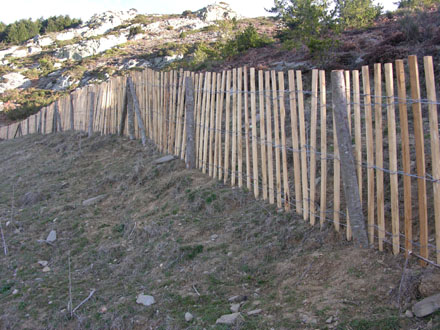 Tanca de castanyer. Març 2008