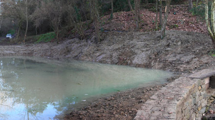 Bassa de la Font Trobada. Febrer 2007