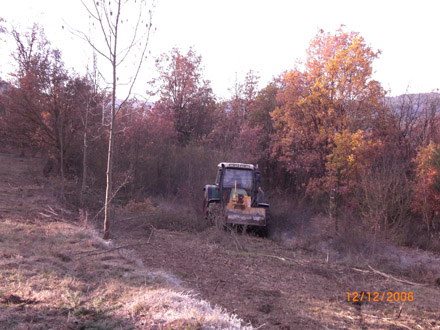 Estassada mecanitzada amb tractor i desbrossadora de cadenes. Desembre 2006