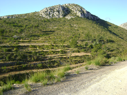 Recuperació de conreus en antigues feixes aterrassades vora camins. Març 2009