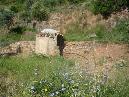 Restauració d’elements patrimonials relacionats amb l’agricultura tradicional (cabanyes i murs de pedra). Setembre 2008