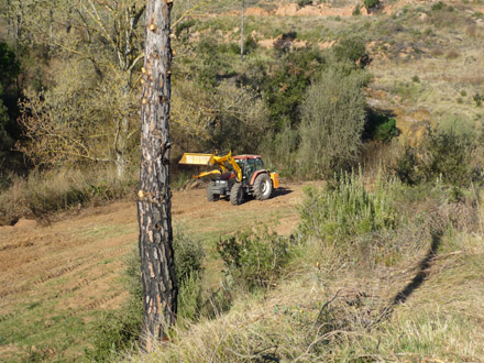 Treballs de recuperació de conreus. Març 2009