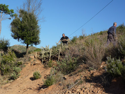 Restauració i condicionament de camins per a bicicletes. Març 2009