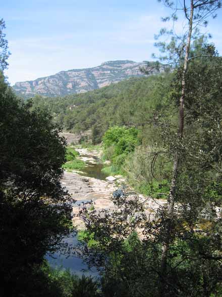 Visió general del Riu Ripoll, des del sender del fil de vida, dins el Parc Natural. Juny 2010