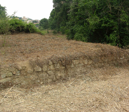 Mur de pedra que delimita un antic conreu ocupant la terrassa superior de la riera. Juny 2008