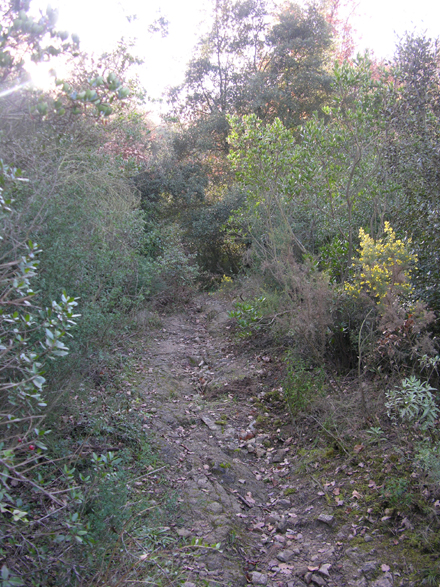 Estat previ de l’itinerari de Montcabrer. Maig 2008