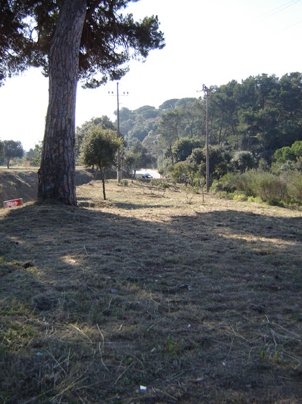 Manteniment de la franja de la pista de la Vallançana. Febrer 2008