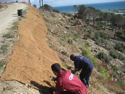 Col•locació de malla geotèxtil per a la retenció de sòl en talussos. Febrer 2008