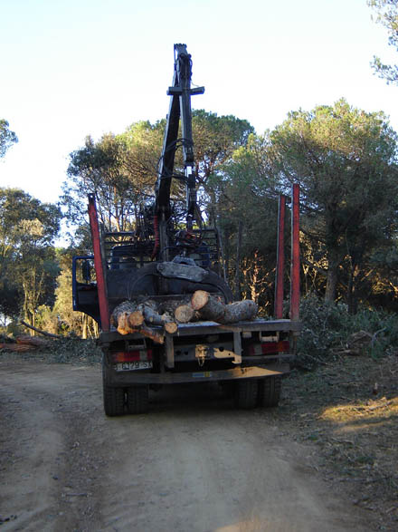 Transport de fusta i llenya a indústria. Novembre 2007