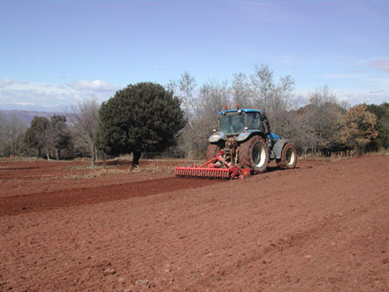 Recuperació de pastures al Pla de la Calma. Març 2008