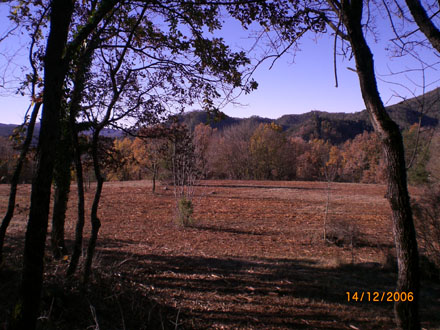 Recuperació de pastures. Desembre 2007