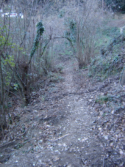 Tractament de la vegetació en els accessos a la font de Can Castellví. Febrer 2008