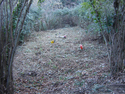 Estassada de vegetació als entorns de la font de Can Castellví. Febrer 2008