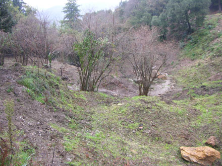 Treballs forestals de l’entorn de la font de Can Castellví. Febrer 2008