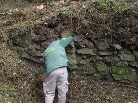 Restauració d’un mur de pedra seca. Febrer 2008