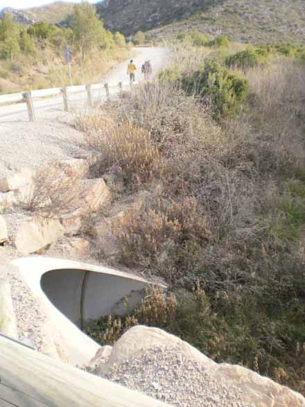 Estat inicial de la zona de construcció de les basses i plantació. Desembre 2009