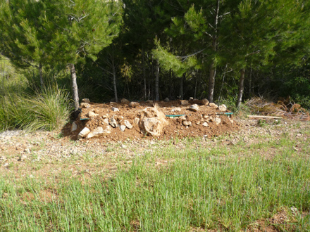 Estat final de la vedruna prop d’un conreu destinat a la recuperació de la fauna silvestre. Maig 2009