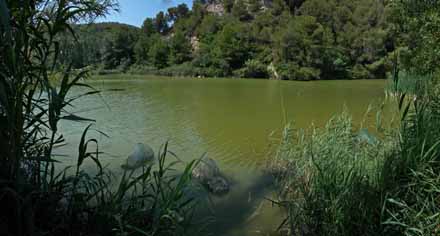 Vista del pantà del Foix amb trampes de tipus nansa per a la captura de tortugues d’aigua. Juliol 2009