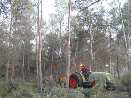 Eliminació de restes amb tractor i desbrossadora de martells per a disminuir el combustible. Desembre 2009