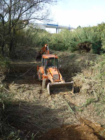 Eliminació de rizomes de la canya mitjançant mètodes mecànics (retroexcavadora). Zones on posteriorment es farà la plantació amb espècies autòctones. Desembre 2009