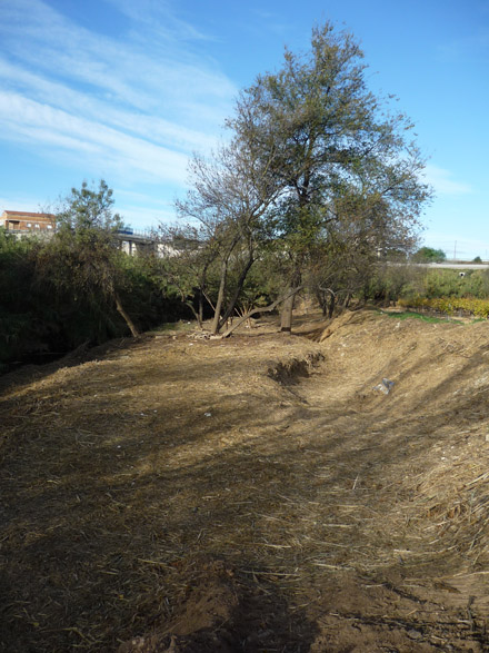 Marge del riu on s’ha eliminat la vegetació i on es pot veure la primera terrassa fluvial. Novembre 2009