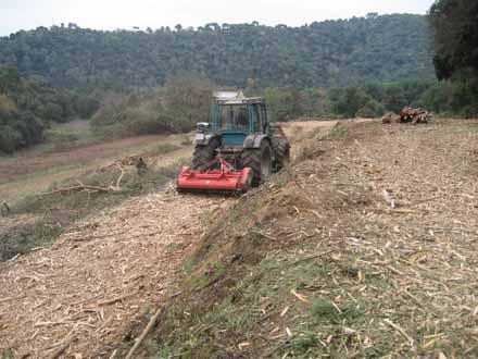 Eliminació de les restes originades amb desbrossadora de martells. Desembre 2009