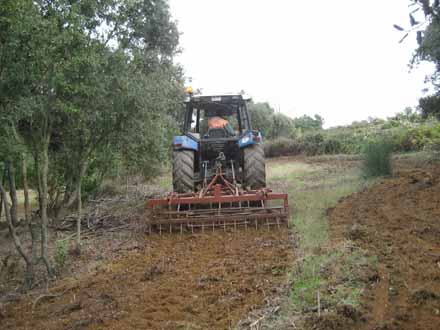 Passada de cultivador desprès de la sembra. Octubre 2009