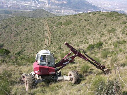 Àmbit d’actuació de la reforestació en zona sense regeneració natural. Febrer 2009