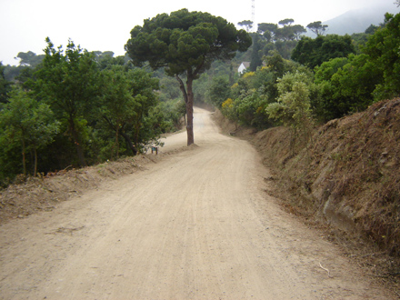 Secció de servei al camí d’accés a l’ermita de Reixac. Juny 2009