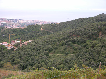 Visió general de la zona de treball del municipi d’Alella. Novembre 2008