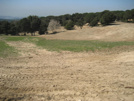 Aspecte de les pastures al voltant del corredor després de la sembra. Març 2009