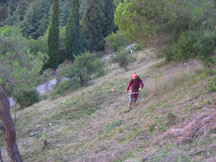 Peó forestal fent treballs d’estessada de matoll. Octubre 2008