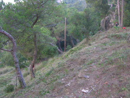 Realització de franges de baixa combustibilitat per a la prevenció d’incendis. Octubre 2008