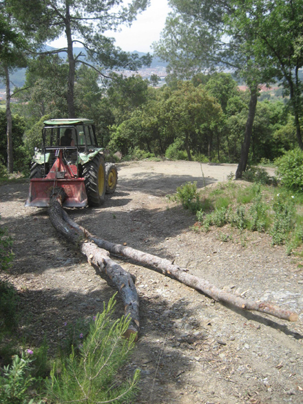 Desembosc de la fusta dels pins tombats amb tractor i cabrestany. Maig 2009