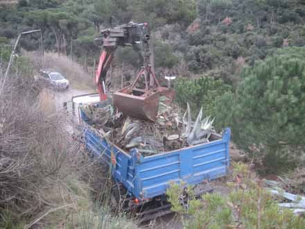 Transport del material en camió. Febrer 2011