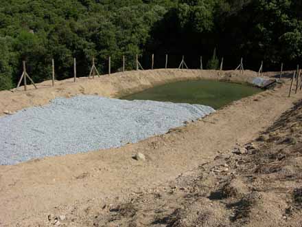 Construcció d’estany de llacunatge per a la depuració d’aigües al Torrent de Vallforners. Juliol 2012