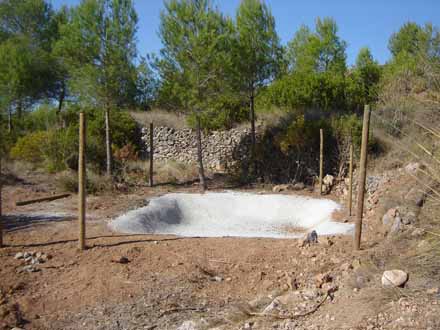 Construcció o restauració de basses i abeuradors per a la fauna salvatge. Octubre 2011