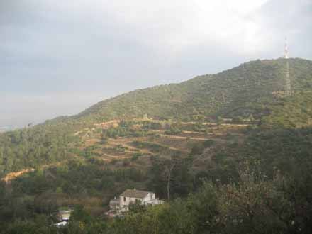 Zona d’actuació a Montcada i Reixac en boscos joves i espais oberts. Octubre 2011