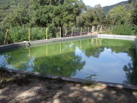 Bassa de Can Marquès (Riera de Pineda) un cop restaurada. Setembre 2011