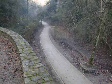 Estat final del camí accessible amb ferm dur per permetre l’accés al medi amb cadira de rodes. Gener 2012