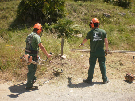 Detall de l’estat  inicial i final dels treballs de manteniment de la secció de servei. Juny 2013