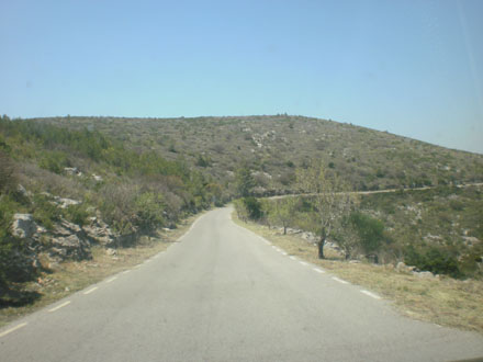 Secció de servei a banda i banda de la carretera de Plana Novella. Juny 2013