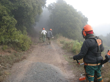 Treballs de desbrossada i eliminació de vegetació a les vores dels camins d’accés. Març 2014