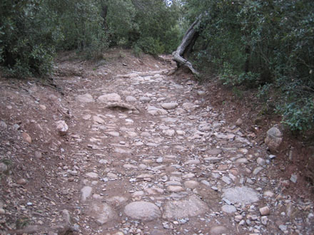 Empedrat del camí al Montcau per evitar processos erosius. Març 2014